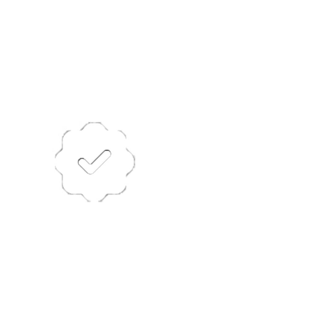 Delivery/Quality Check Icon
